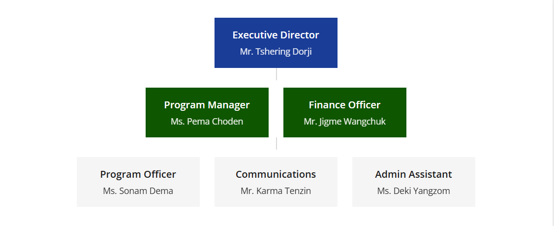 Organization Structure
