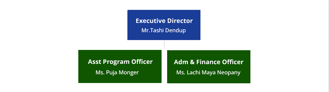 Organization Structure